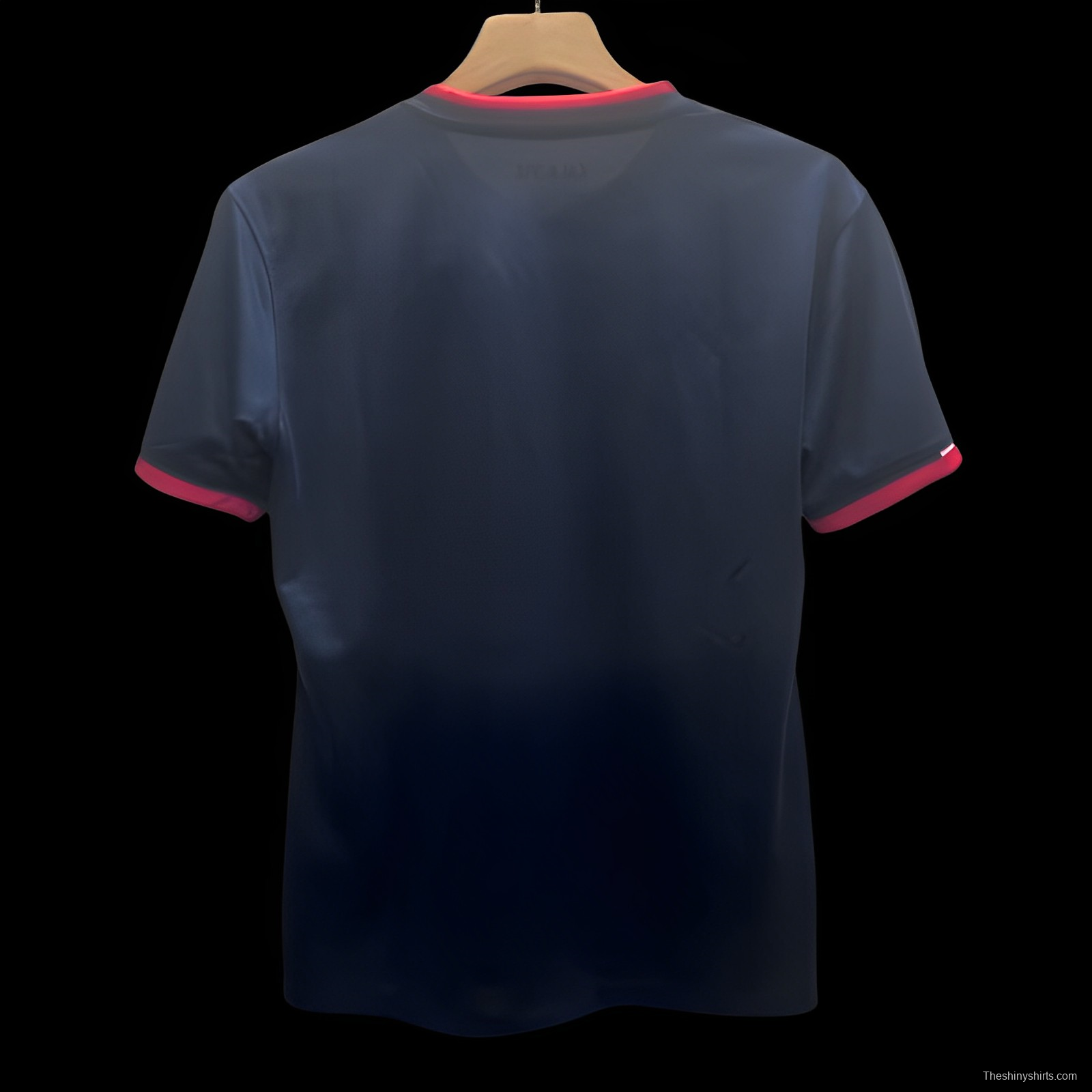 24/25 Ajax Navy Nature Jersey